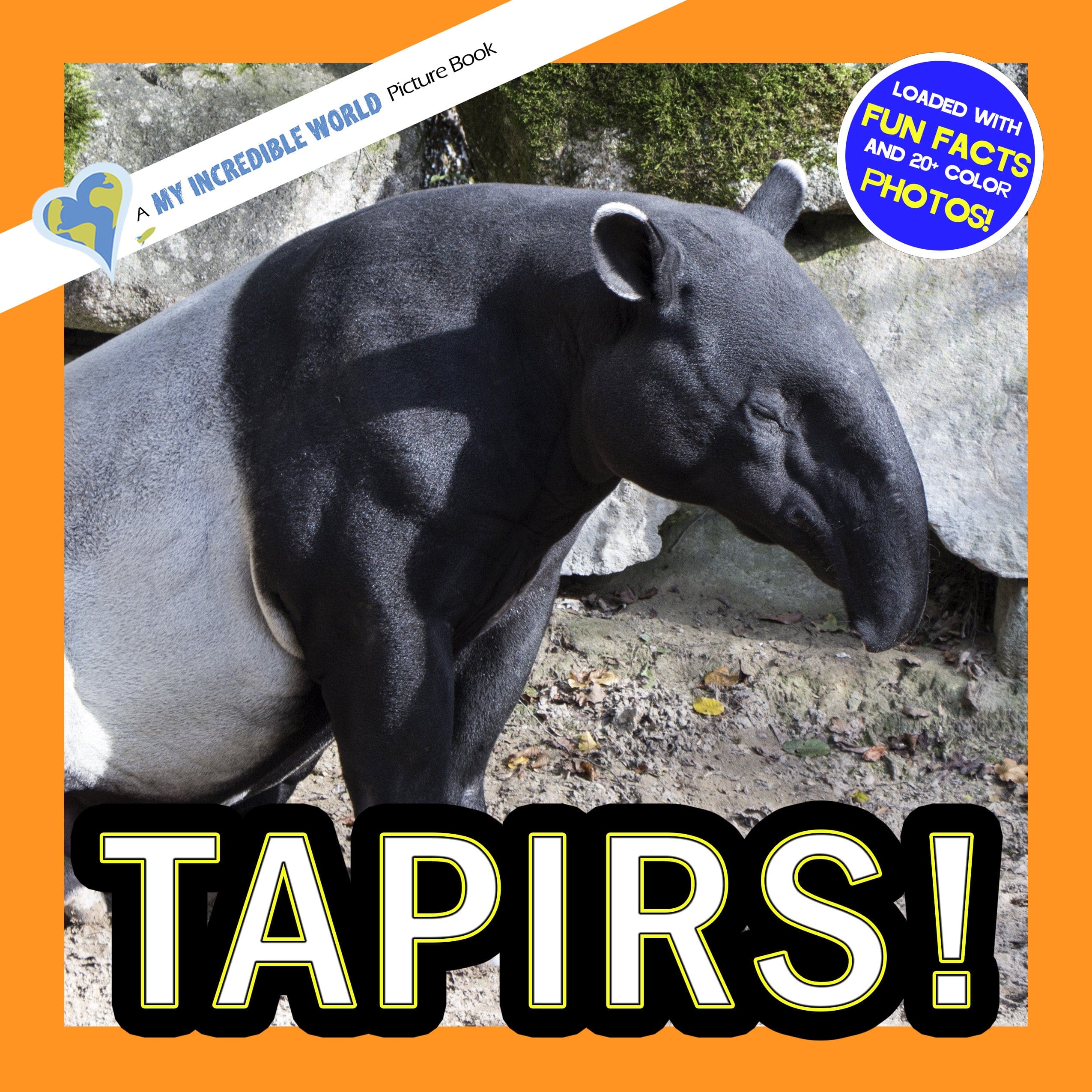 Tapirs! A My Incredible World Picture Book for Children